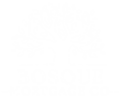 Bosque Mortgage Logo