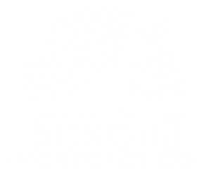 Bosque Mortgage Logo